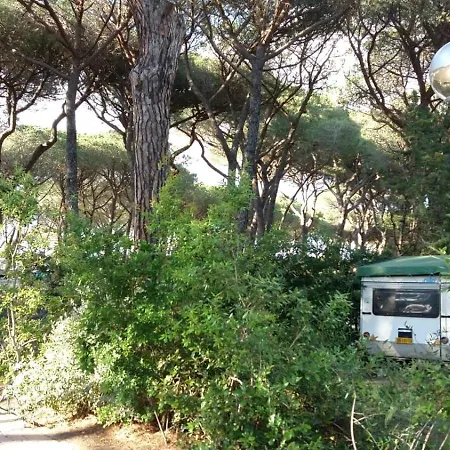 Campsite Village Il Sole - Empty Pitch Only - Solo Piazzole Per La Propria Tenda O Caravan