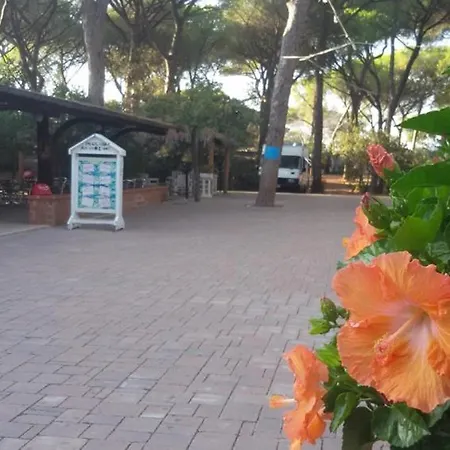Village Il Sole - Empty Pitch Only - Solo Piazzole Per La Propria Tenda O Caravan * Marina di Grosseto
