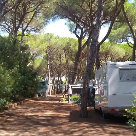 Village Il Sole - Empty Pitch Only - Solo Piazzole Per La Propria Tenda O Caravan Marina di Grosseto