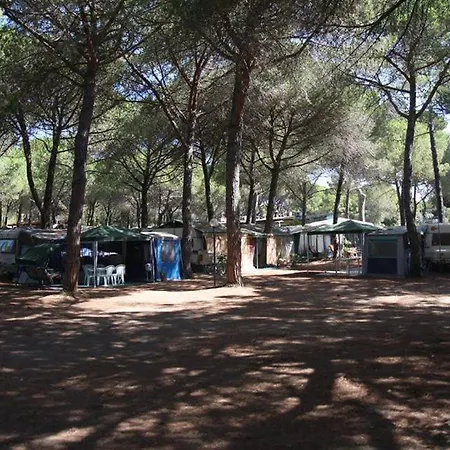 Campsite Village Il Sole - Empty Pitch Only - Solo Piazzole Per La Propria Tenda O Caravan