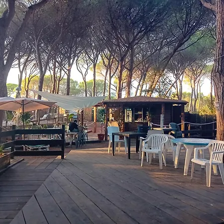 Village Il Sole - Empty Pitch Only - Solo Piazzole Per La Propria Tenda O Caravan * Marina di Grosseto