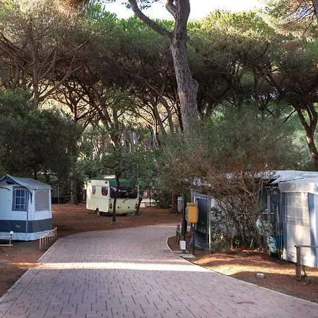 Village Il Sole - Empty Pitch Only - Solo Piazzole Per La Propria Tenda O Caravan Campsite *