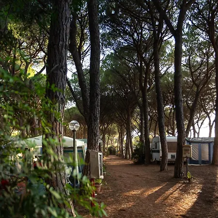 Village Il Sole - Empty Pitch Only - Solo Piazzole Per La Propria Tenda O Caravan * Marina di Grosseto